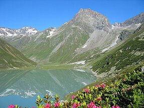 Bergsee im Pitztal mit Bergen im Hintergrund. Im Vordergrund blühende Blumen. Schneebedeckte Berggipfel.