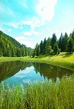 Bergsee im Grünen, Bäume und blauer Himmel